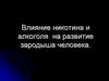 Влияние никотина и алкоголя на развитие зародыша человека