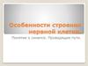 Строение нервной клетки. Синапс. Проводящие пути