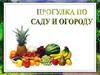 Прогулка по саду и огороду