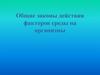 Общие законы действия факторов среды на организмы