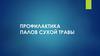 Профилактика палов сухой травы