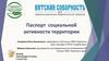 Паспорт социальной активности территории