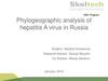 Phylogeographic analysis of hepatitis A virus in Russia