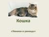 Кошка. «Умники и умницы»