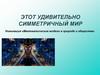 Симметричный мир