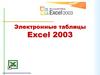 Электронные таблицы Excel 2003. Назначение программы