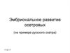 Эмбриональное развитие осетровых