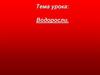 Водоросли. Спирогира и другие