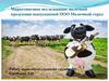 Маркетинговое исследование молочной продукции, выпускаемой ООО "Молочный город"