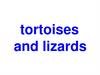 Tortoises and lizards