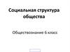 Социальная структура общества
