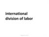 International division of labor