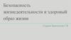 Безопасность жизнедеятельности и здоровый образ жизни