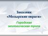 Заказник «Мозырские овраги». Городская экологическая тропа