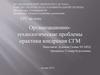 Организационнотехнологические проблемы практики внедрения СГМ