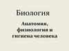 Анатомия, физиология и гигиена человека
