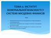 Інститут комунальної власності у сиcтемі місцевих фінансів