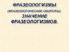 Фразеологизмы (фразеологические обороты). Значение фразеологизмов