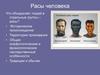 Расы человека