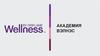 Продуктовая секция WellnessAcademy