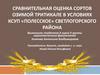Сравнительная оценка сортов озимой тритикале в условиях  КСУП «Полесское» Светлогорского района