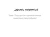 Подцарство одноклеточные животные (простейшие). 5 класс