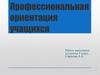 Профессиональная ориентация учащихся