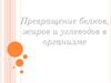Белки. Превращение белков, жиров и углеводов