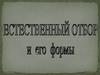 Естественный отбор и его формы