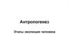 Антропогенез. Этапы эволюции человека