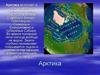 Арктика. Растения Арктики