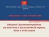 Основные направления бюджетной и налоговой политики Орловского района на 2020-2022 годы