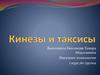 Кинезы и таксисы
