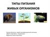 Типы питания живых организмов