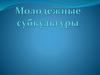 Молодежные субкультуры