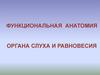 Функциональная анатомия органа слуха и равновесия