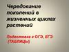 Чередование поколений в жизненных циклах растений. Подготовка к ОГЭ, ЕГЭ