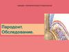 Пародонт. Обследование
