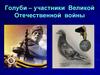Голуби – участники Великой Отечественной войны
