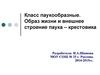 Класс паукообразные. Образ жизни и внешнее строение паука – крестовика