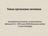 Ткани организма человека