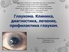 Глаукома. Клиника, диагностика, лечение, профилактика глауком