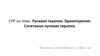 Лучевая терапия. Брахитерапия. Сочетанно-лучевая терапия