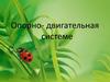 Опорно- двигательная системе
