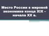 Место России в мировой экономике конца XIX – начала XX в
