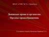 Движение крови в организме. Органы кровообращения