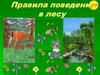 Поведение в лесу. Памятка