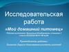 Исследовательская работа «Мой домашний питомец»