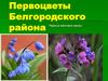 Первоцветы Белгородского района