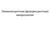 Люминесцентная (флуоресцентная) микроскопия